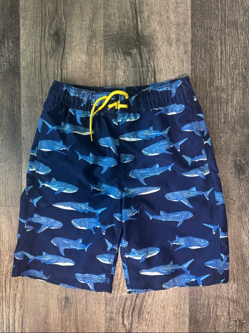 Boy’s Swim Gap Blue Shark Swim trunks Size 10